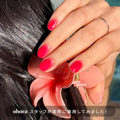 N Hibiscus Jelly