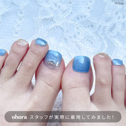 P Cinderella's Wish