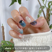 N Elsa's Velvet Frost