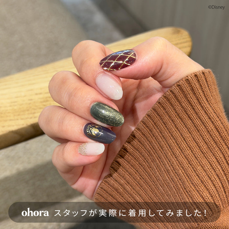 N Kingdom of Arendelle