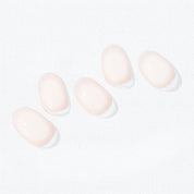N Coconut Veil