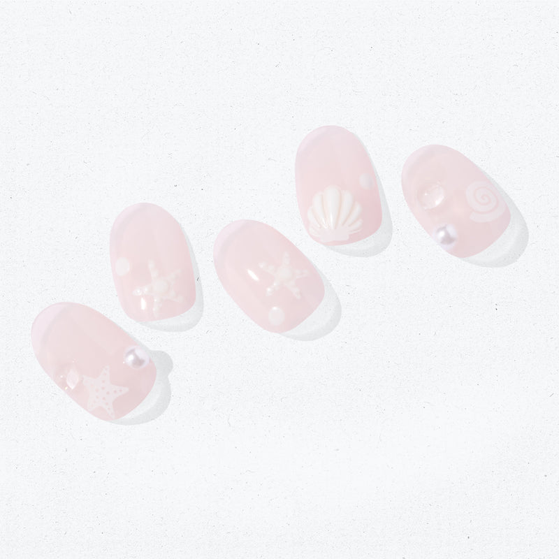N Seashell Love