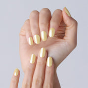 N Butter Chrome