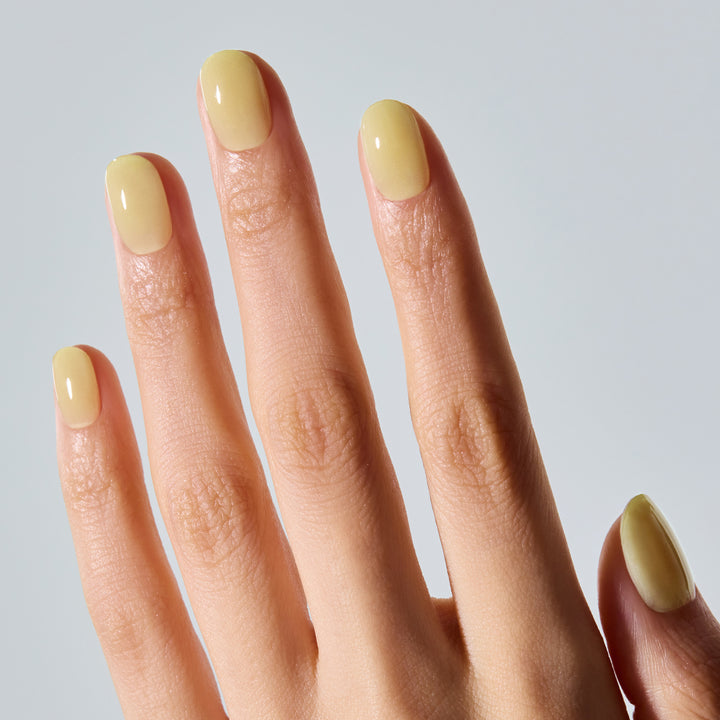 N Honey Veil | セルフジェルネイルのohora公式 – ohora jp