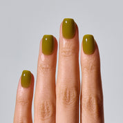 Olive (SQUARE/SHORT)
