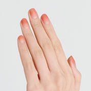 N Apricot Sorbet