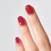 N Hibiscus Jelly