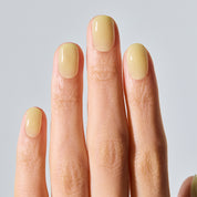 N Honey Veil