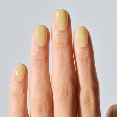 N Honey Veil