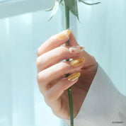 Beauty and the Rose