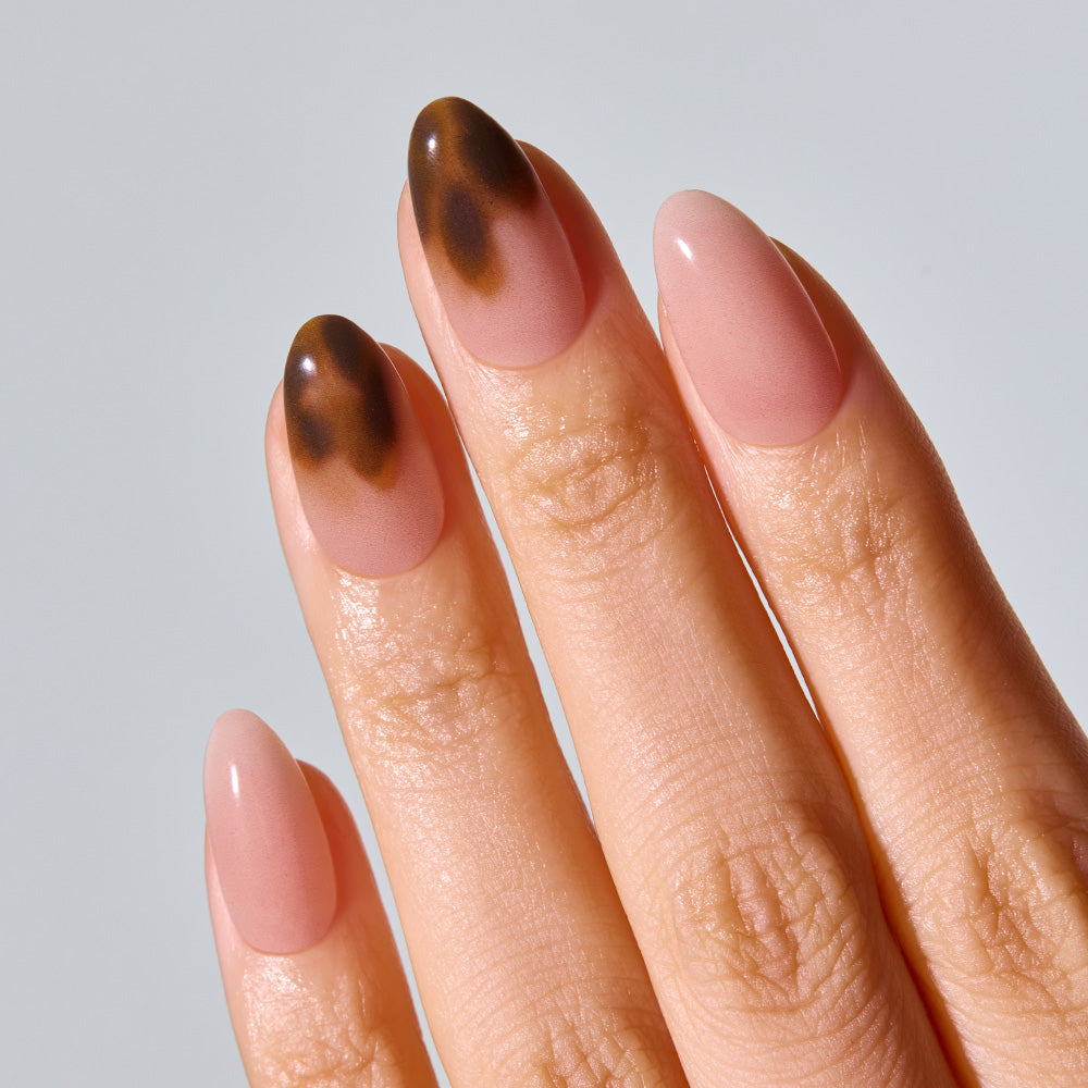 Smoky Tortoise (OVAL/MEDIUM)