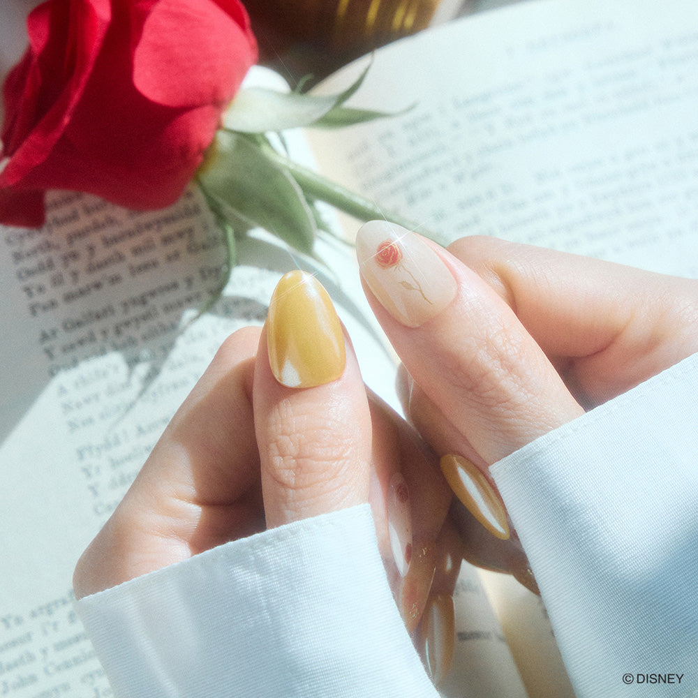 Beauty and the Rose