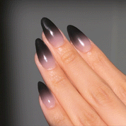 N Dark Veil