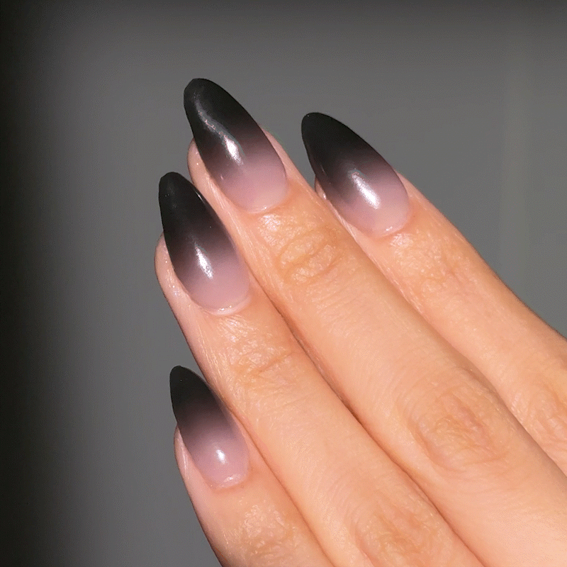 N Dark Veil