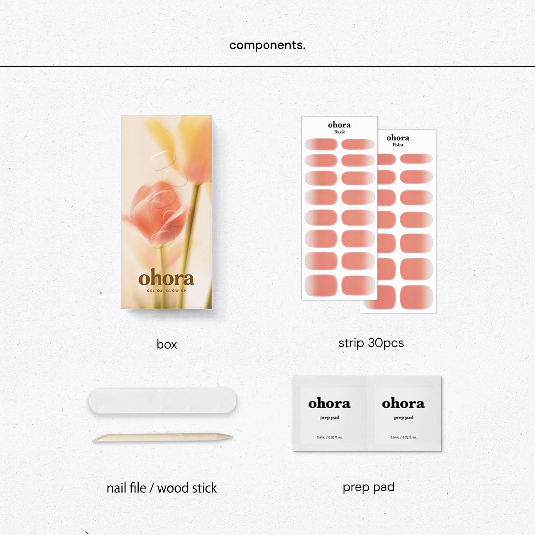 アプリコットページ Lopi Evergreen NexGen-Hybrid™ Wood Insert - Hearth Appliances