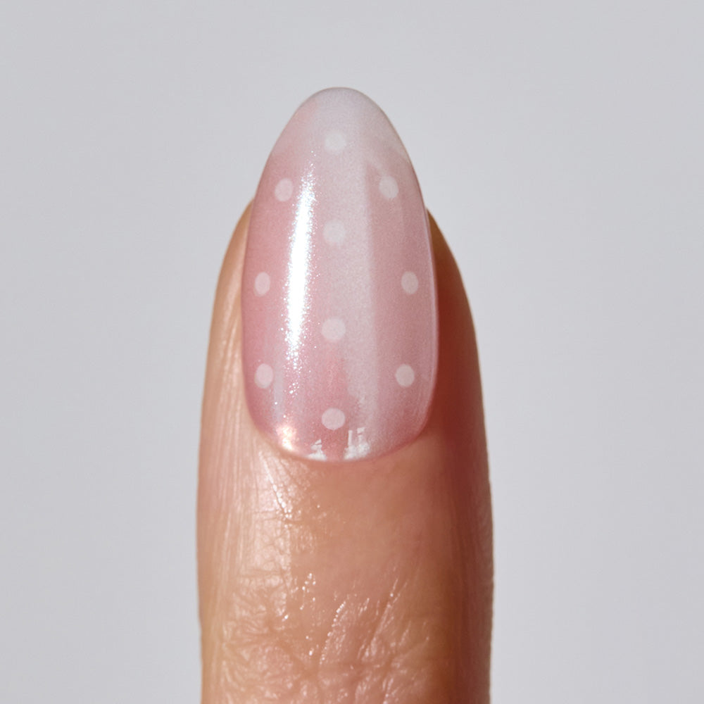 Glazed Dot (OVAL)