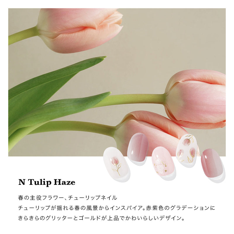 N Tulip Haze