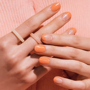 N Creamy Apricot