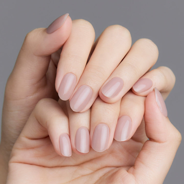 nb-005-j_Img01_704ee528-a6e5-