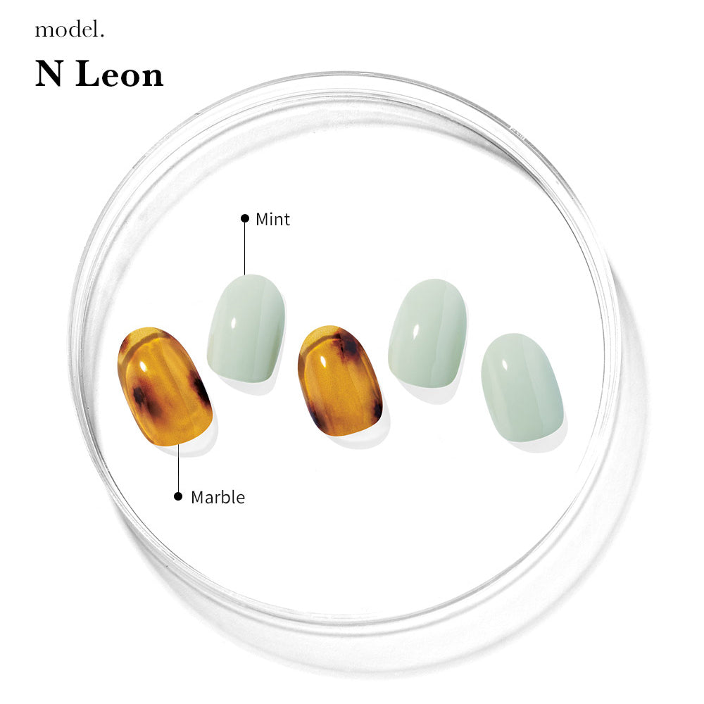 N Leon