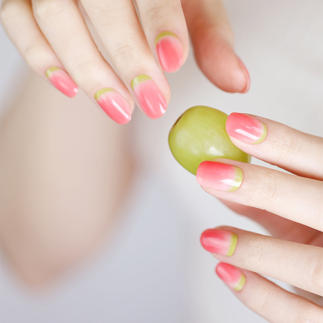 N Sorbet
