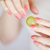 N Sorbet
