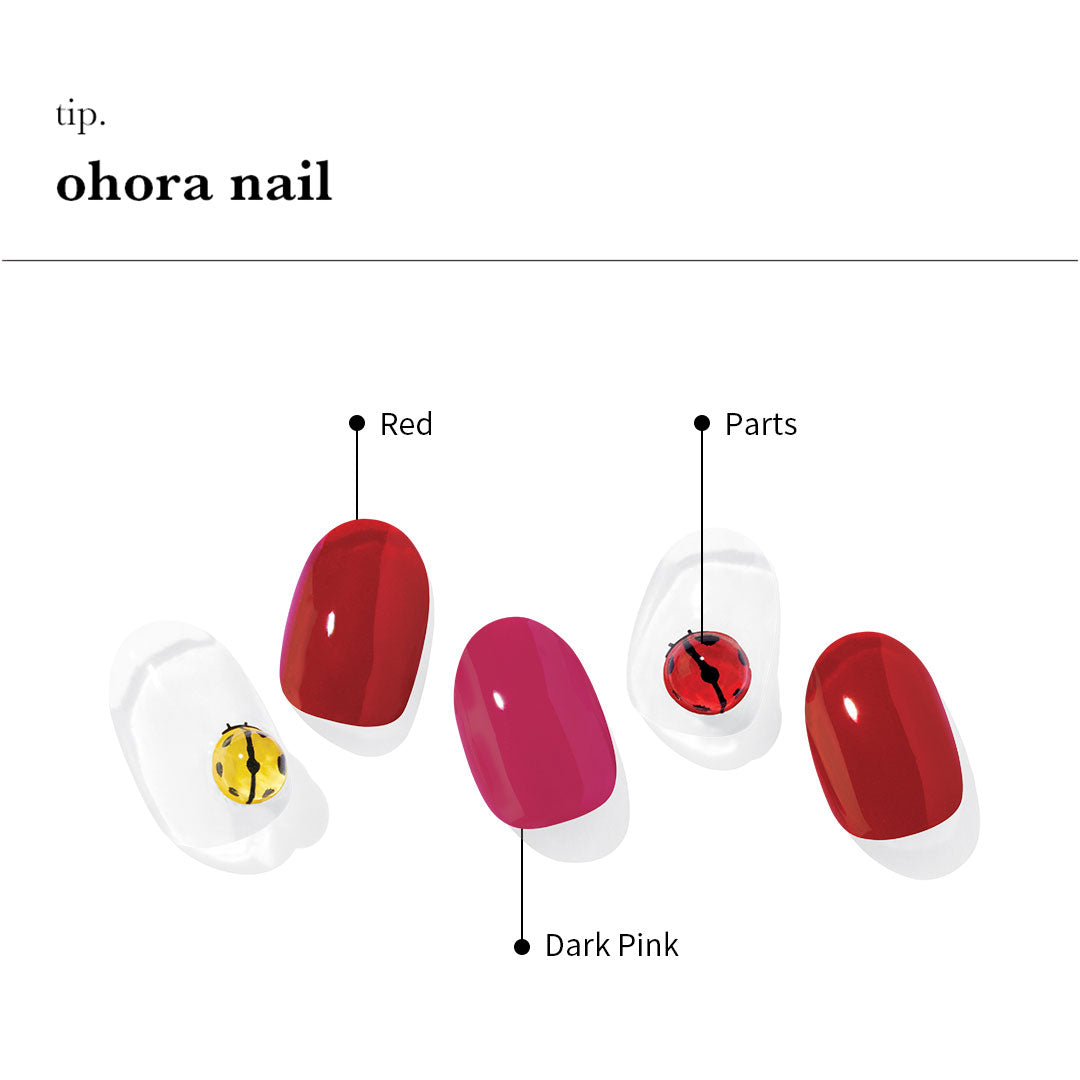 ann　ohora まとめ売り　バラ売り不可 ann ohora まとめ売り バラ売り不可 ohora ネイル まとめ売り