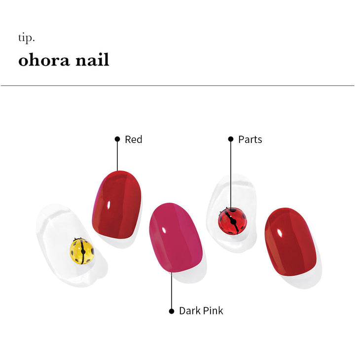 ann　ohora まとめ売り　バラ売り不可 ann ohora まとめ売り バラ売り不可 ohora ネイル まとめ売り